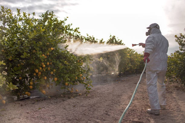 Trusted Bedford, IA Pest Control Experts